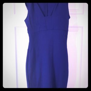 Deep Purple Express Bodycon Dress